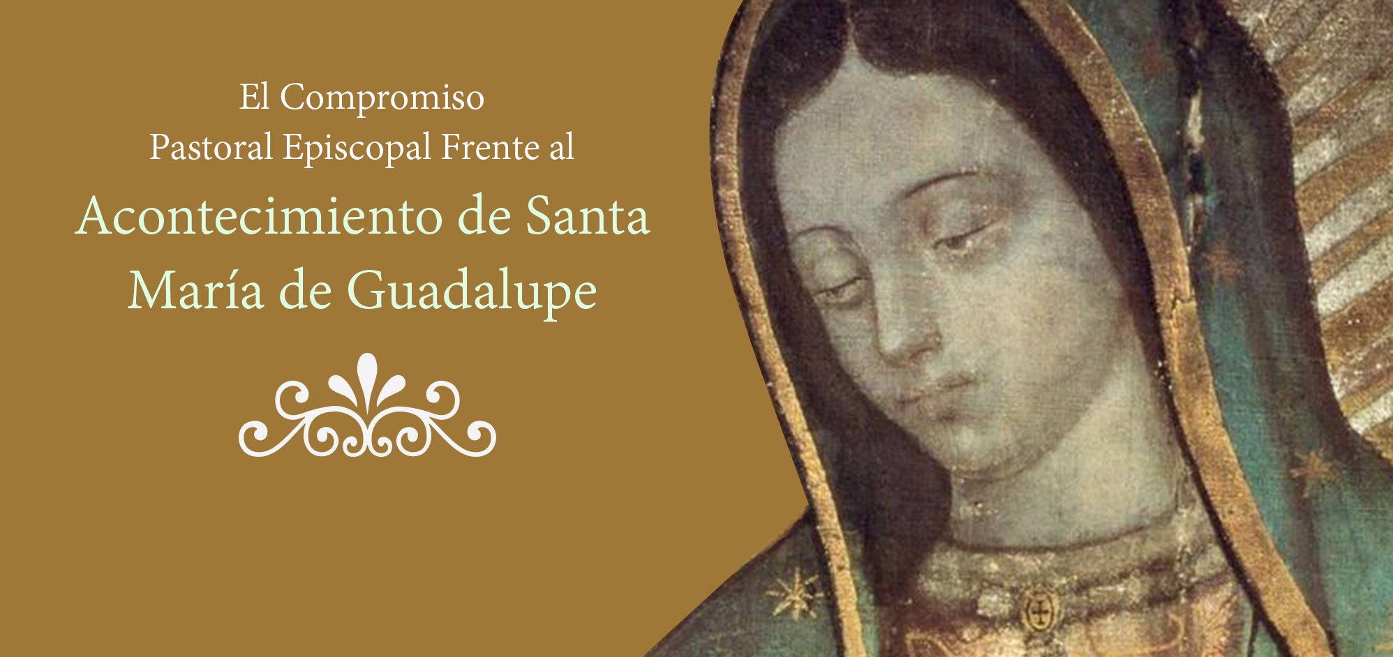 DESDE LA CEM: El Compromiso Pastoral Episcopal Frente al Acontecimiento de  Santa María de Guadalupe. – Diócesis de Querétaro