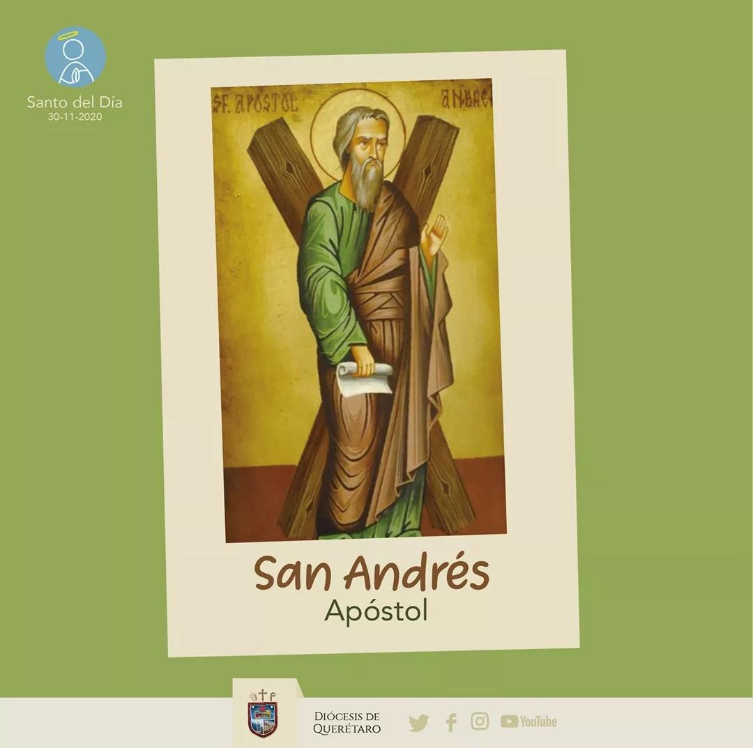 SANTO DEL DÍA: SAN ANDRES APÓSTOL. – Diócesis de Querétaro