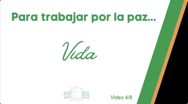 Vida